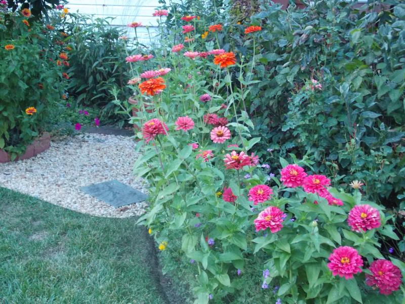 Tips On Adding Value To Your Home Yard, Gardening Blooming Secrets