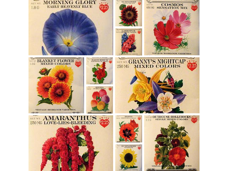 Heirloom Flower Seeds Flowers, Seeds, Gardening Blooming Secrets