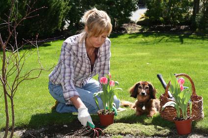 National Gardening Exercise Day | Exercise, Gardening | Blooming Secrets
