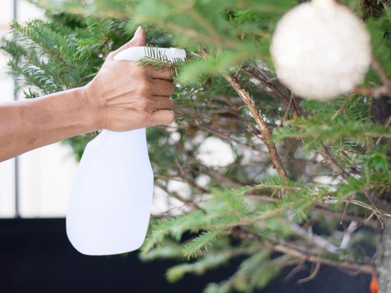 Caring for a Live Christmas Tree Tips, Gardening Blooming Secrets