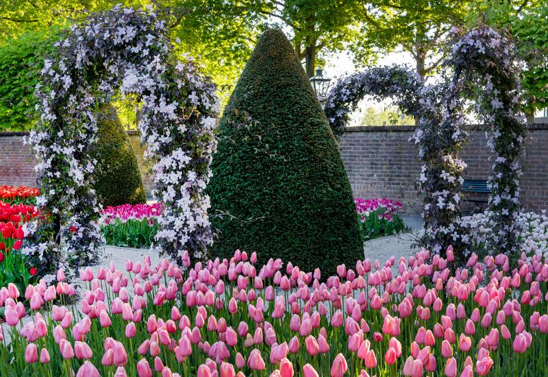Flower Bulbs Create A Beautiful Spring Garden Garden Blooming Secrets