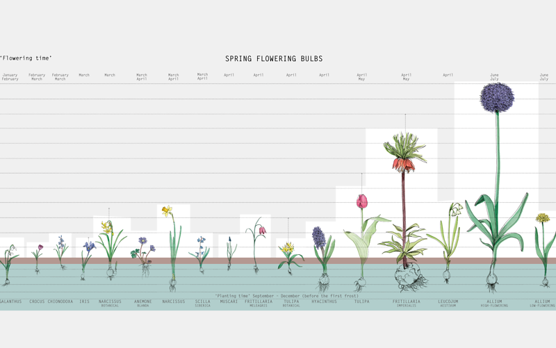 Spring Flower Timeline Creating A Cheerful Spring Garden | Flowers, Gardening | Blooming Secrets