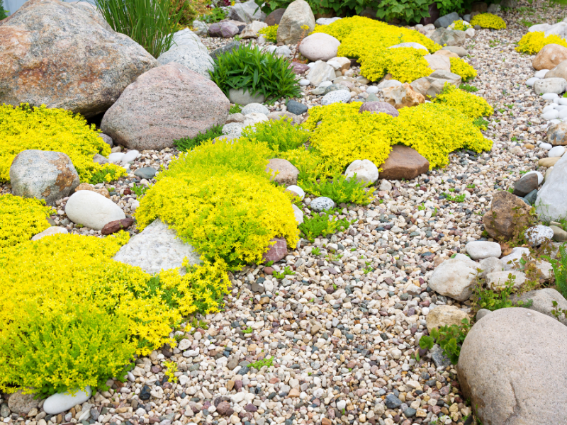 Creating A Gravel Garden Garden Landscape, Gardening Blooming Secrets