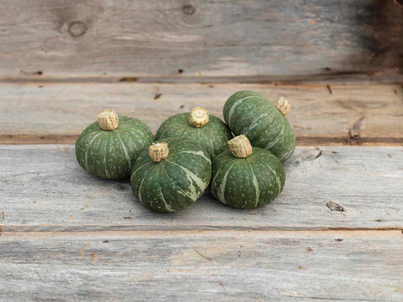 5 Vegetables To Grow From Seed Vegetables, Gardening Blooming Secrets