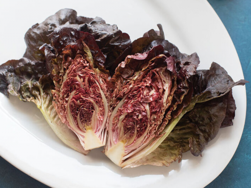 5 Vegetables To Grow From Seed Vegetables, Gardening Blooming Secrets