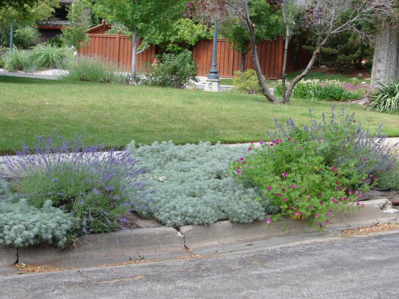 Tips On Planning A Hellstrip Landscape, Gardening Blooming Secrets