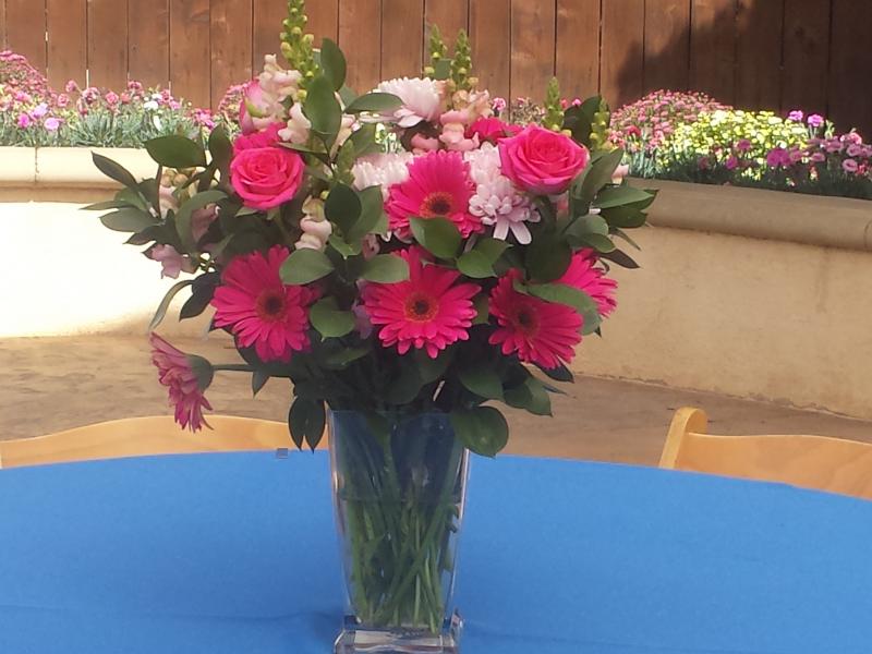 Tips On Growing Flowers To Use In Vases Flower, Garden Blooming Secrets